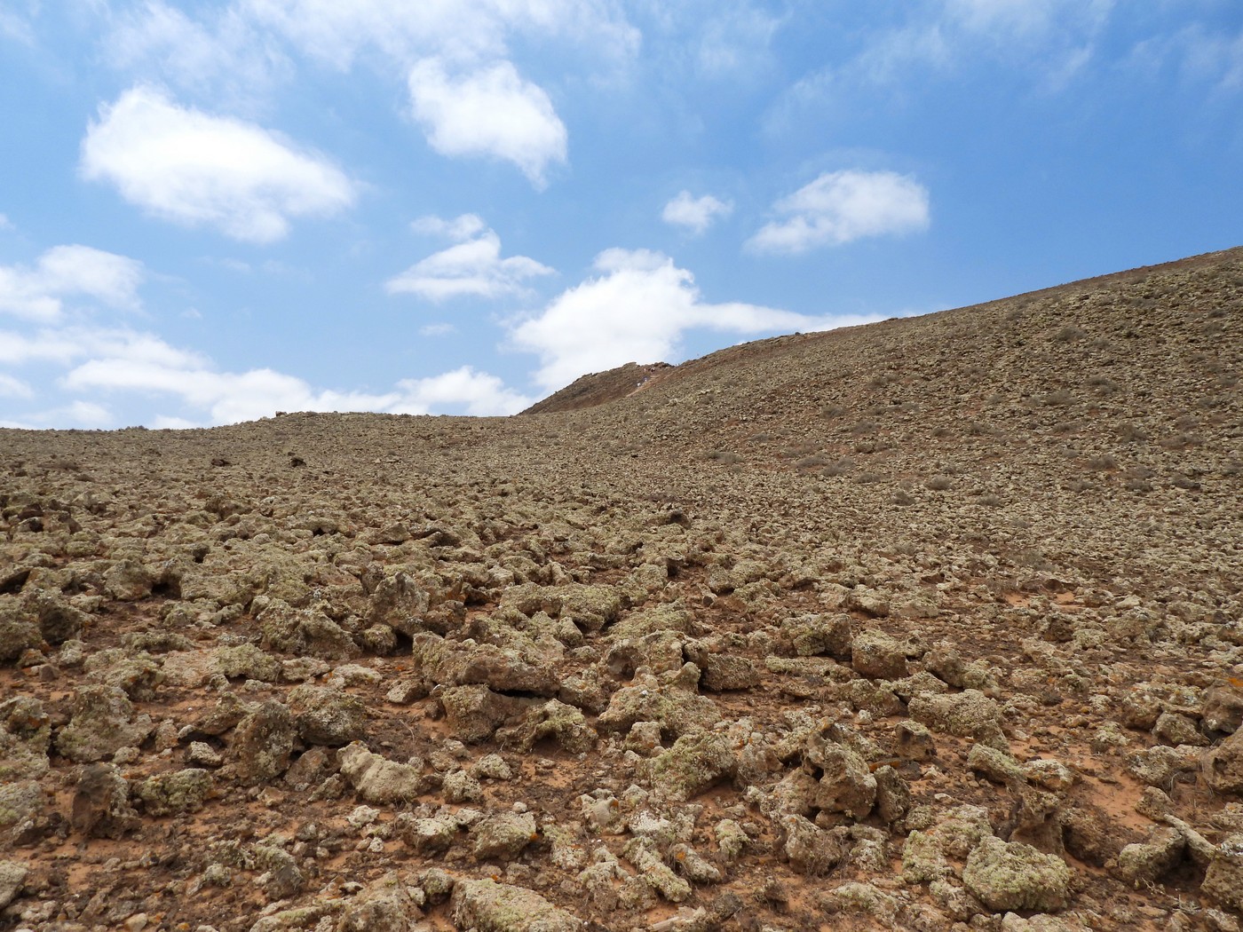 20240624 1 Calderon Hondo (29)