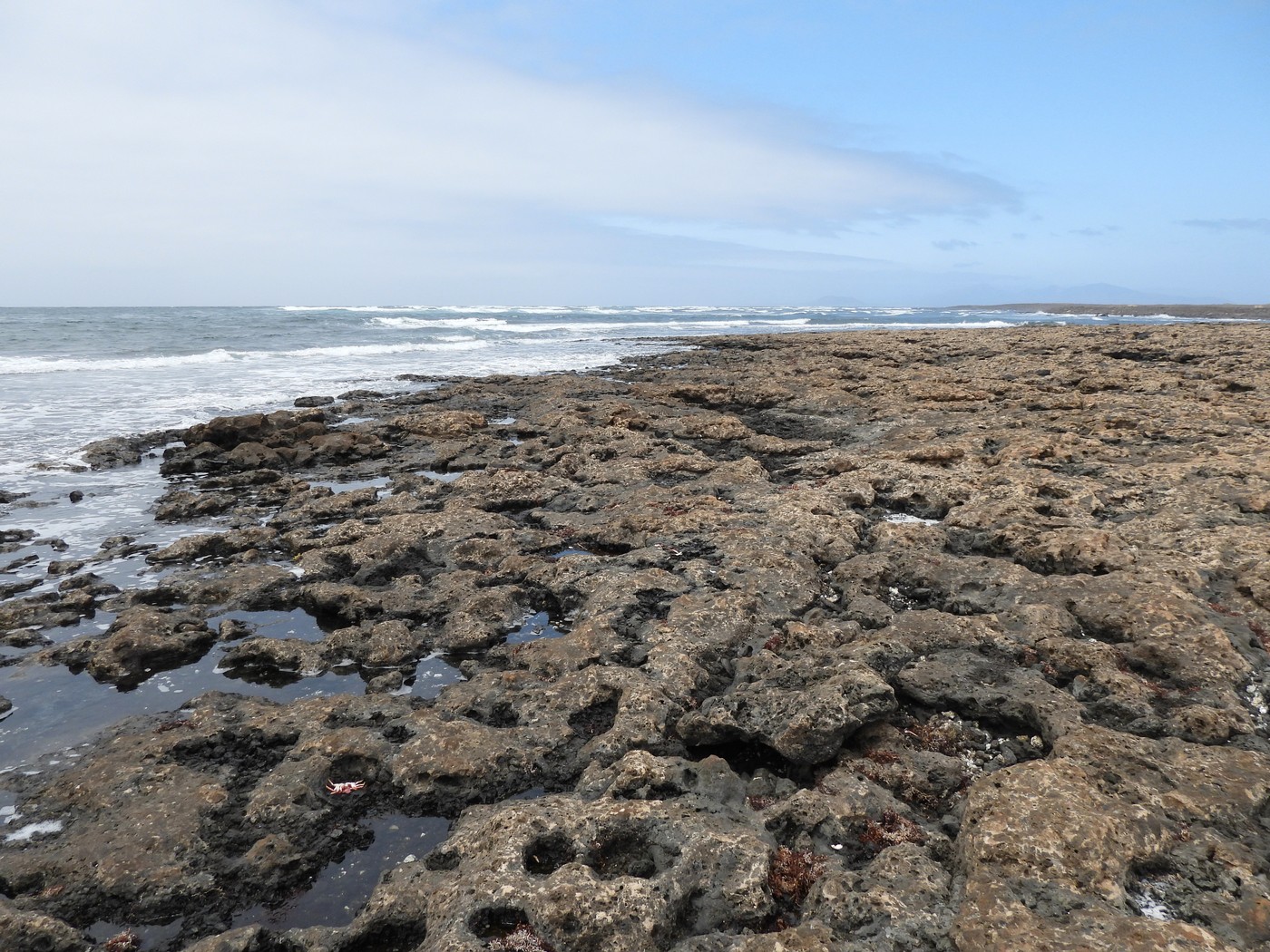 20240624 2 Majanicho (37)