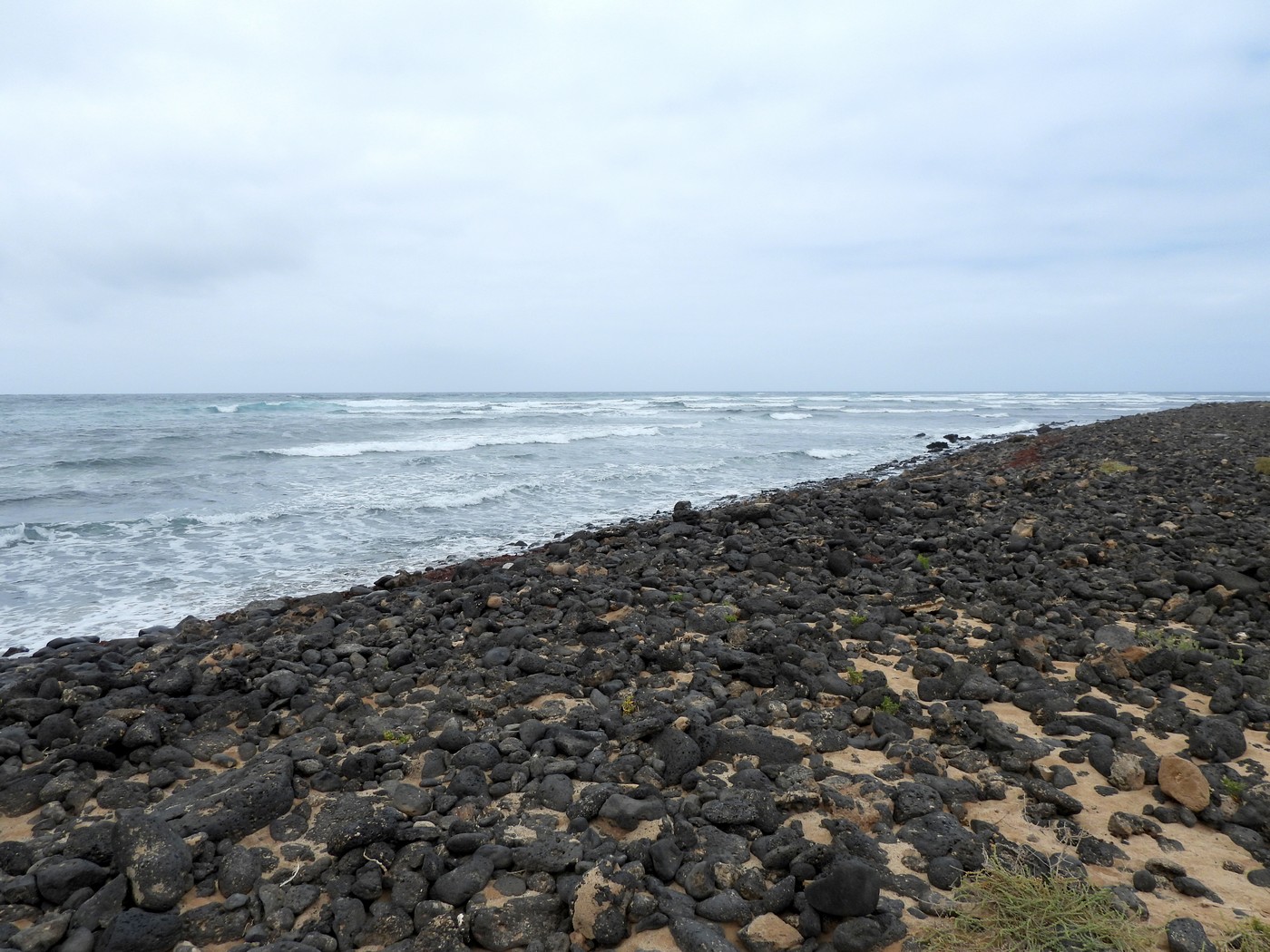 20240624 2 Majanicho (49)