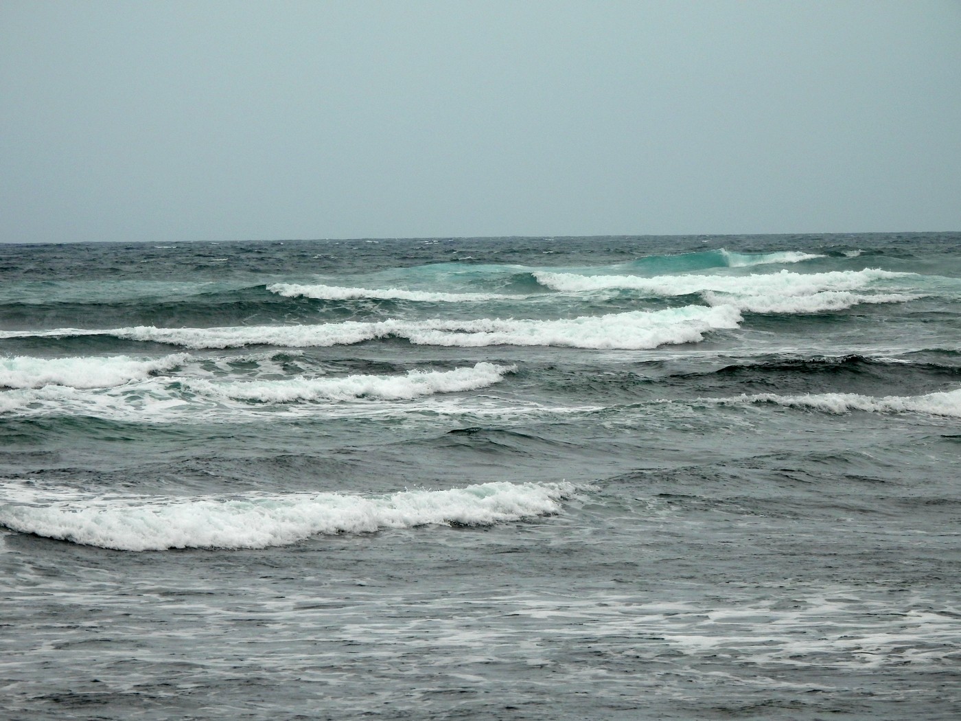 20240624 2 Majanicho (50)