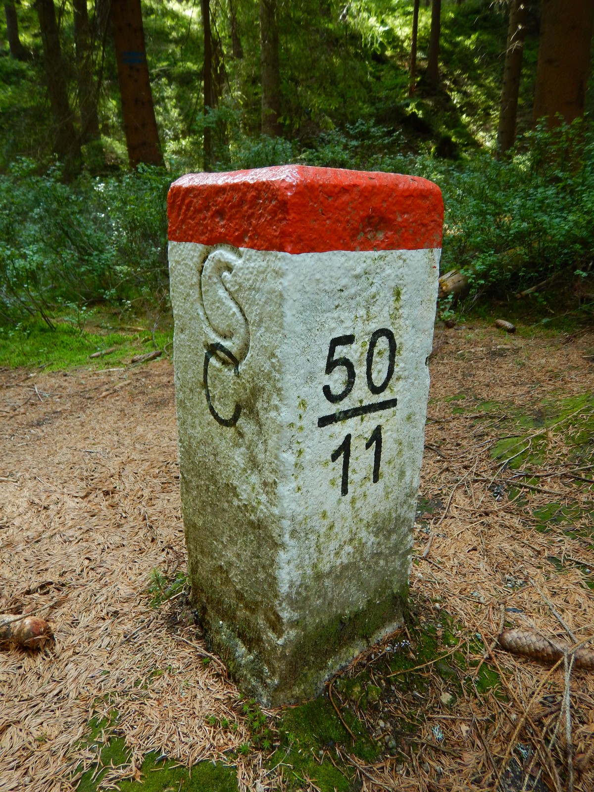 20240803 Les (15)