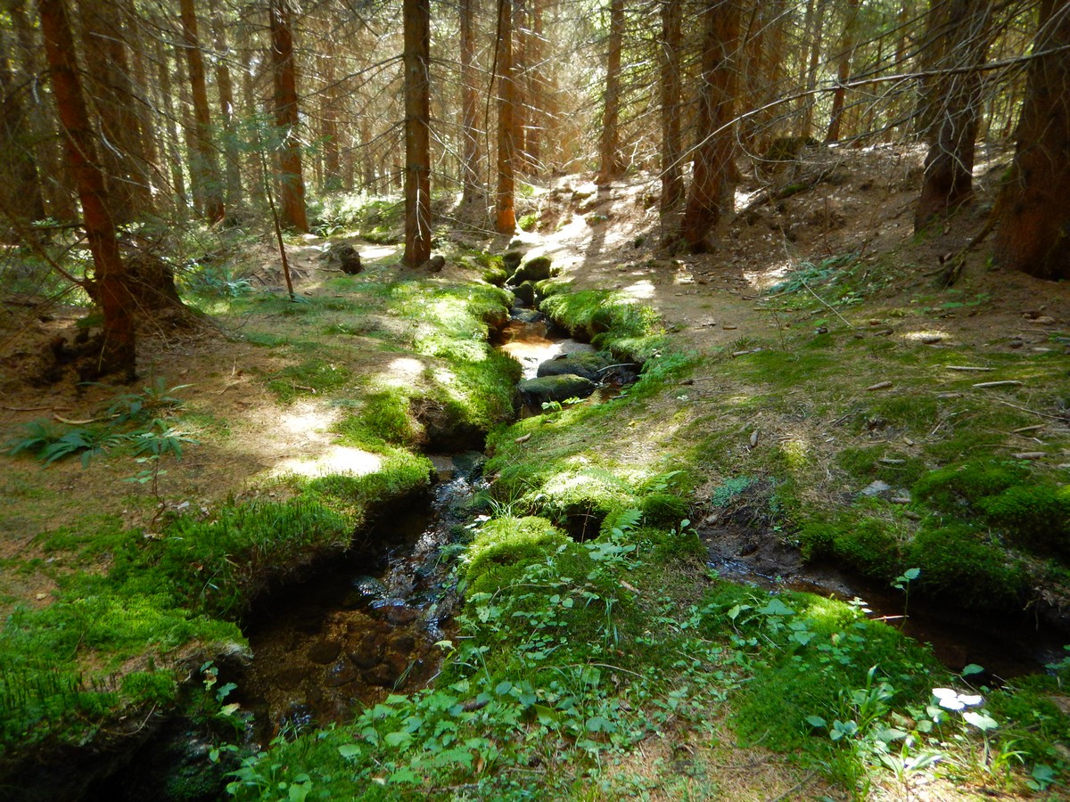 20240906 Houby (17)