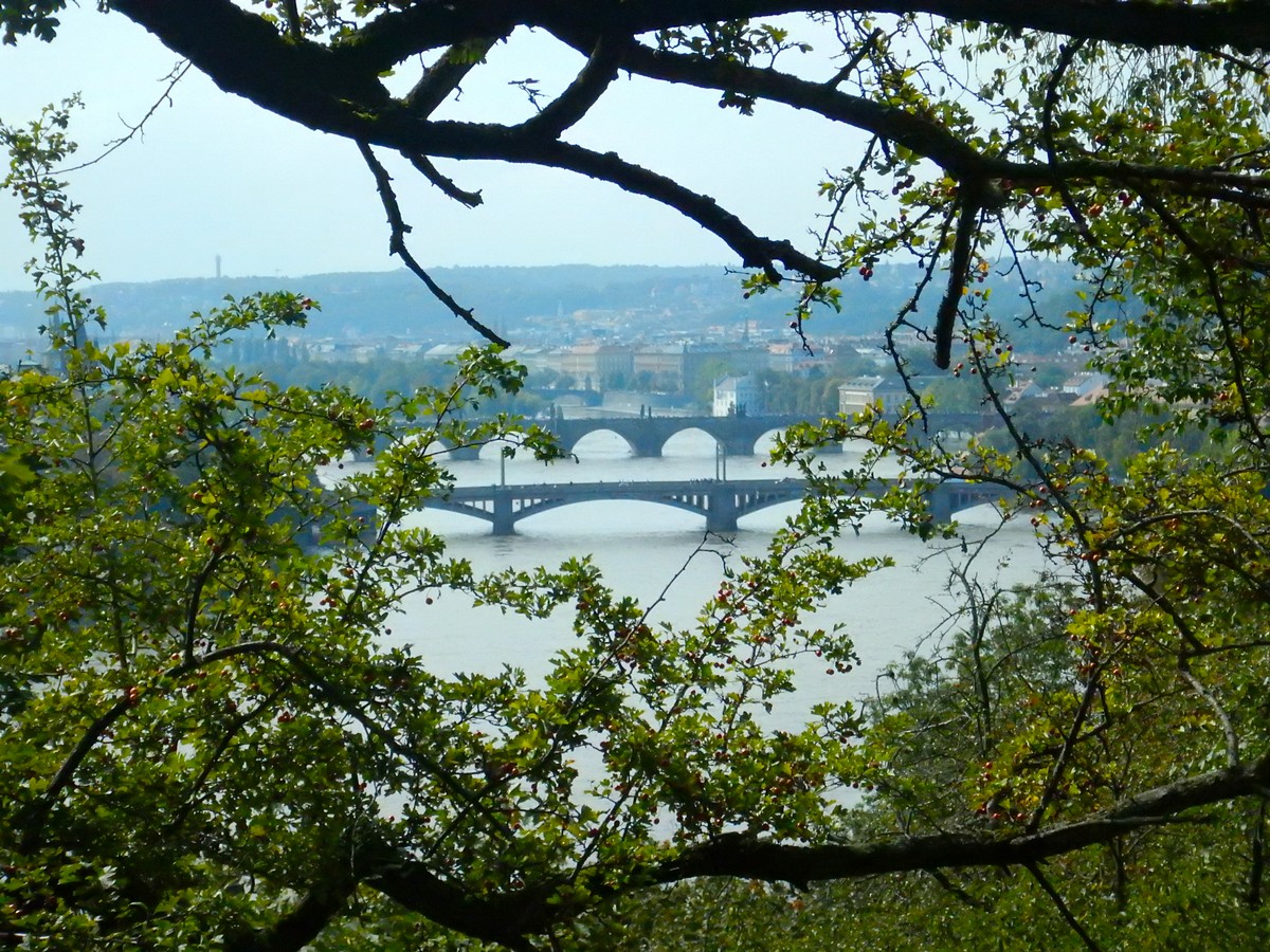 20240917 Prague (117)