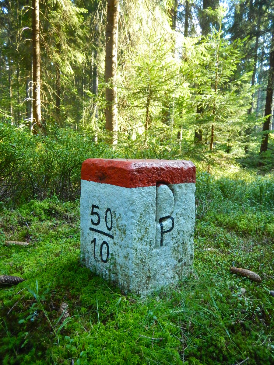 20240919 Houby (22)