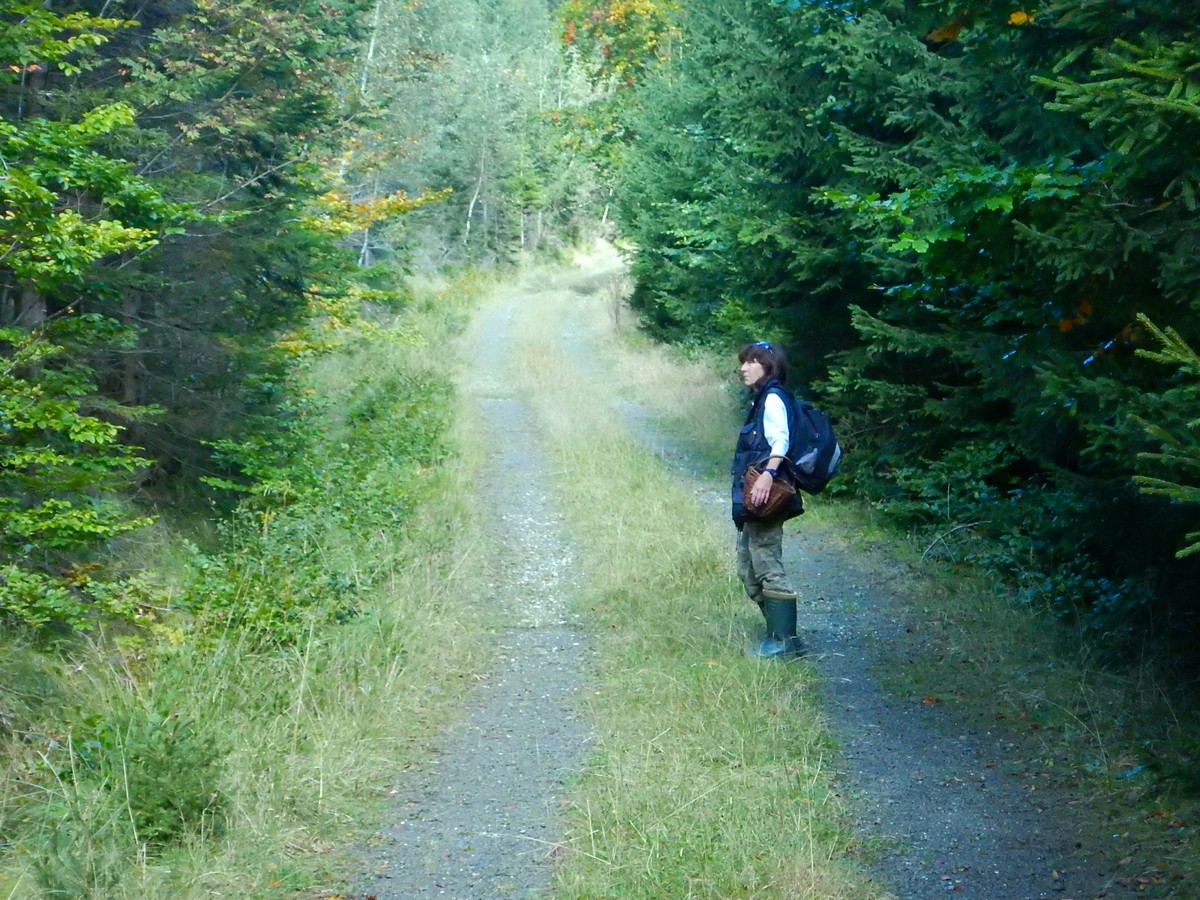 20240929 Houby (13)