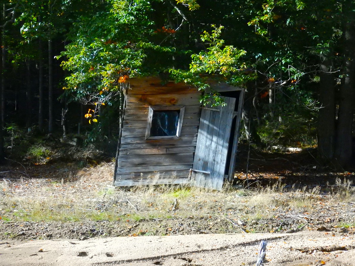 20240930 Houby (22)