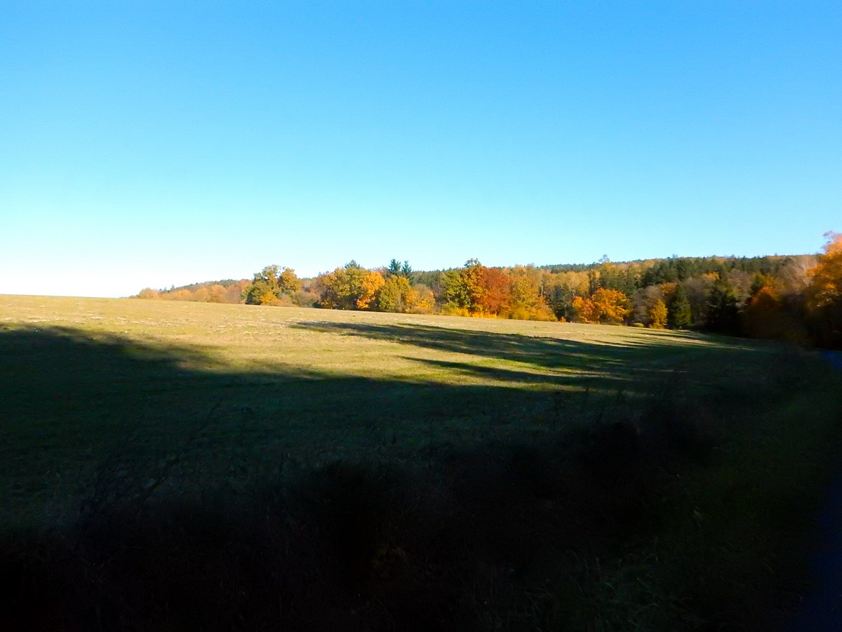 20241028 Krivoklatsko (33)