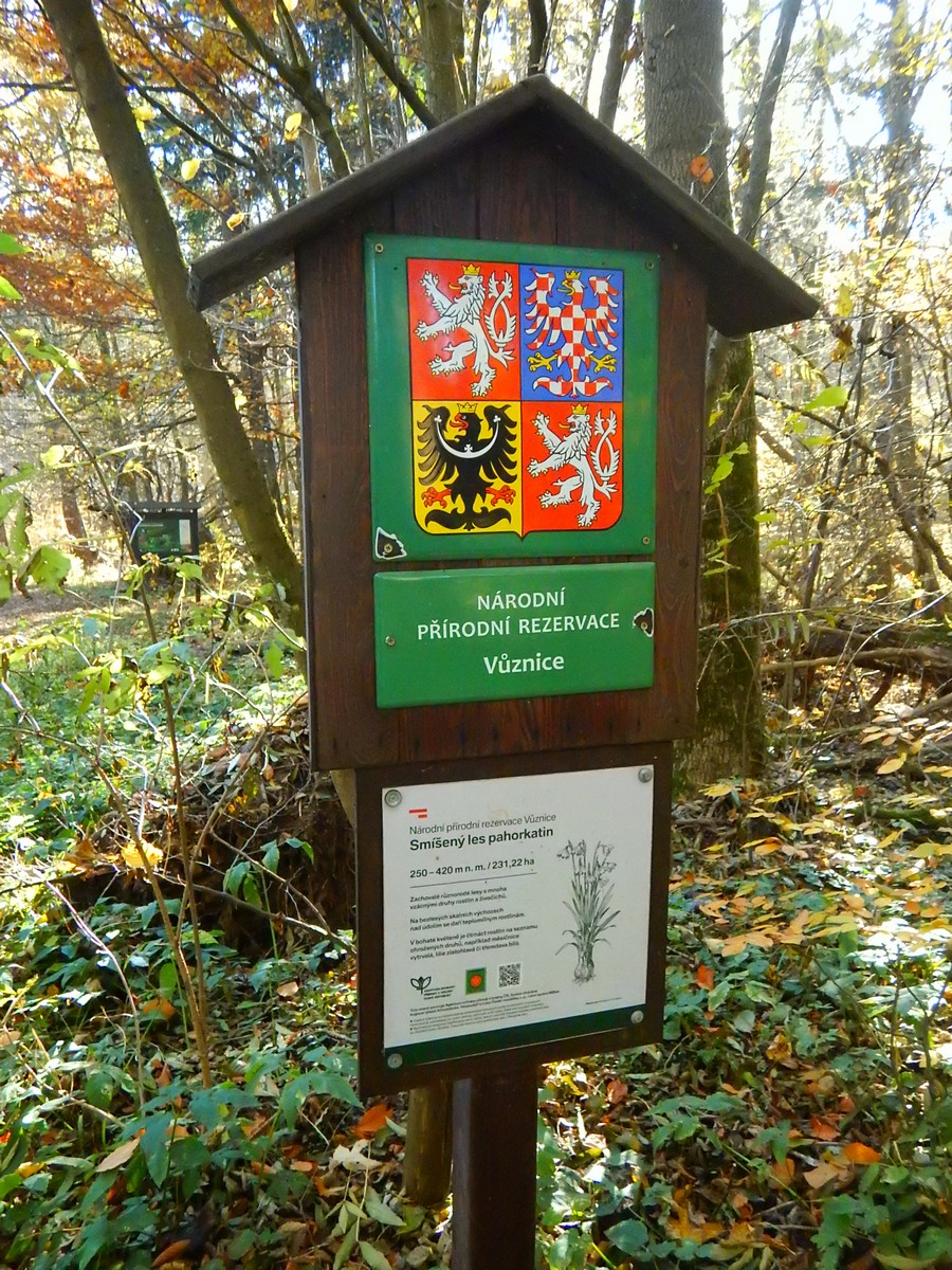 20241028 Krivoklatsko (37)