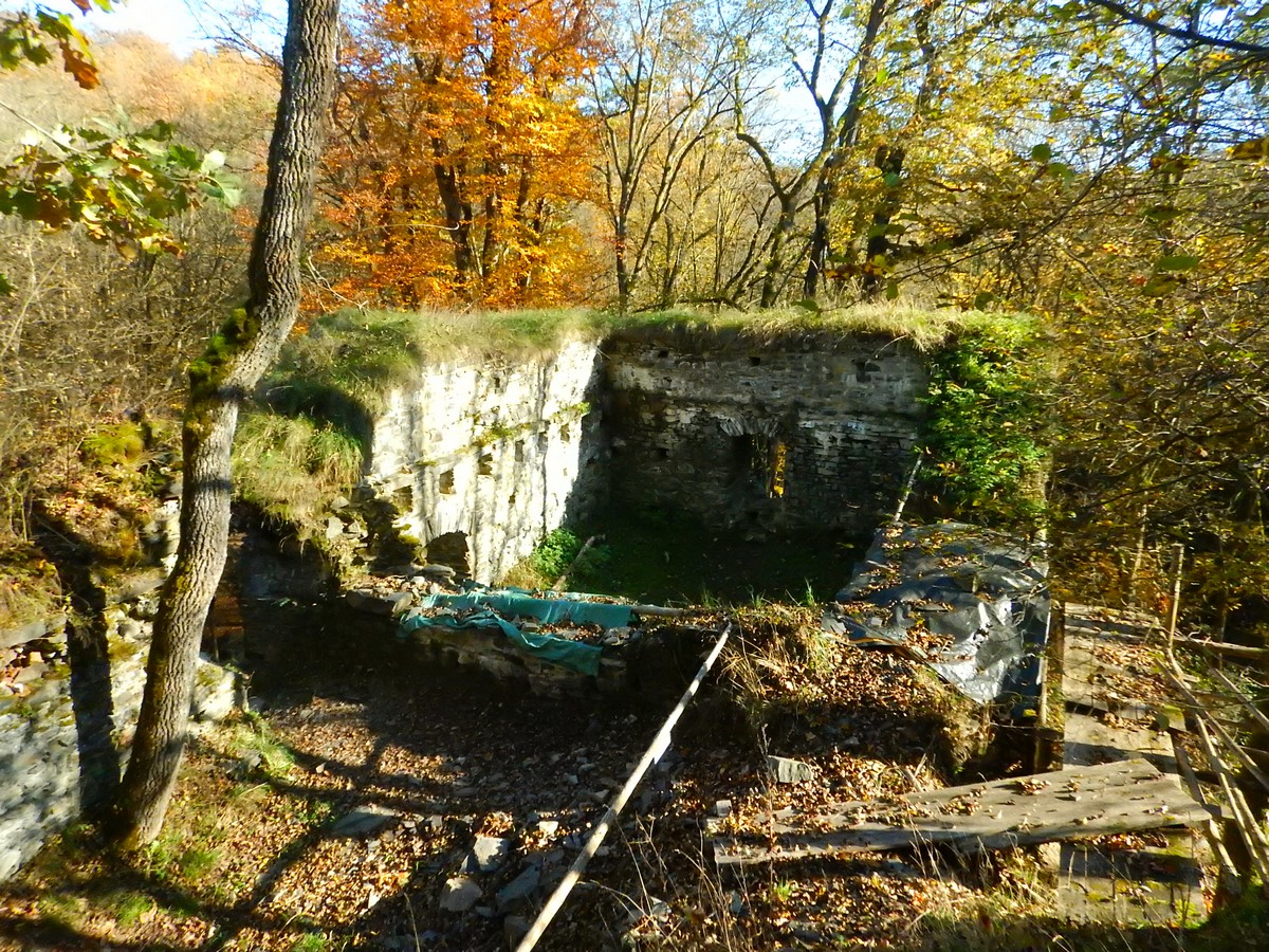 20241028 Krivoklatsko (44)