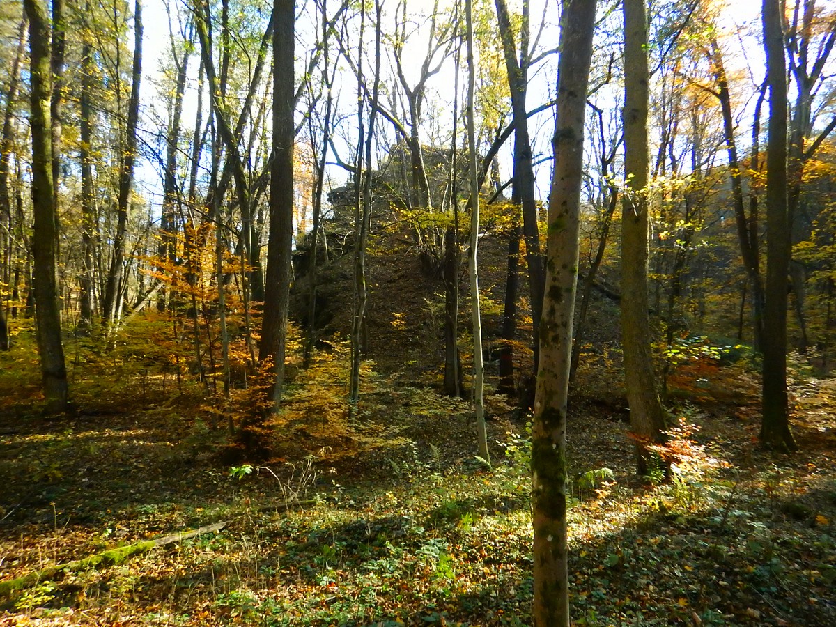 20241028 Krivoklatsko (50)