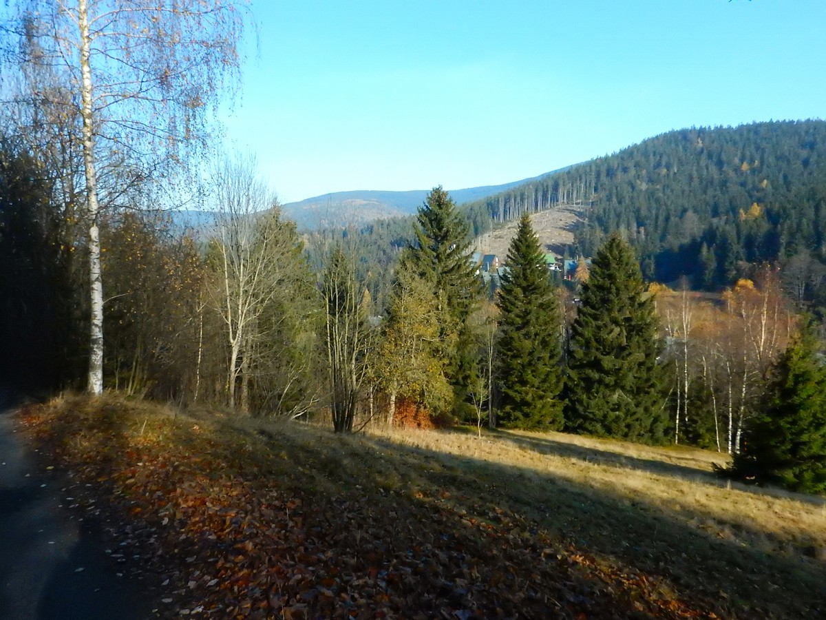 20241108 Studenov-Dvoracky (13)