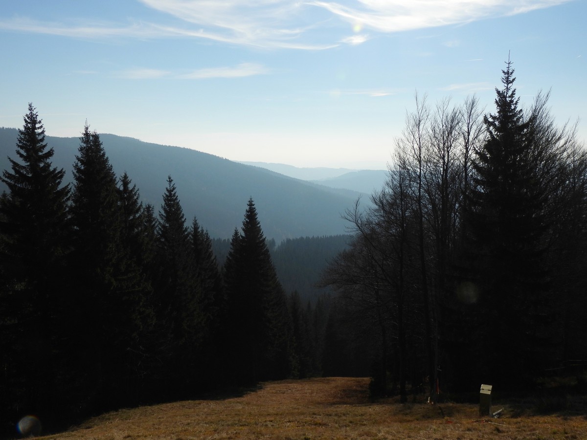 20241108 Studenov-Dvoracky (34)