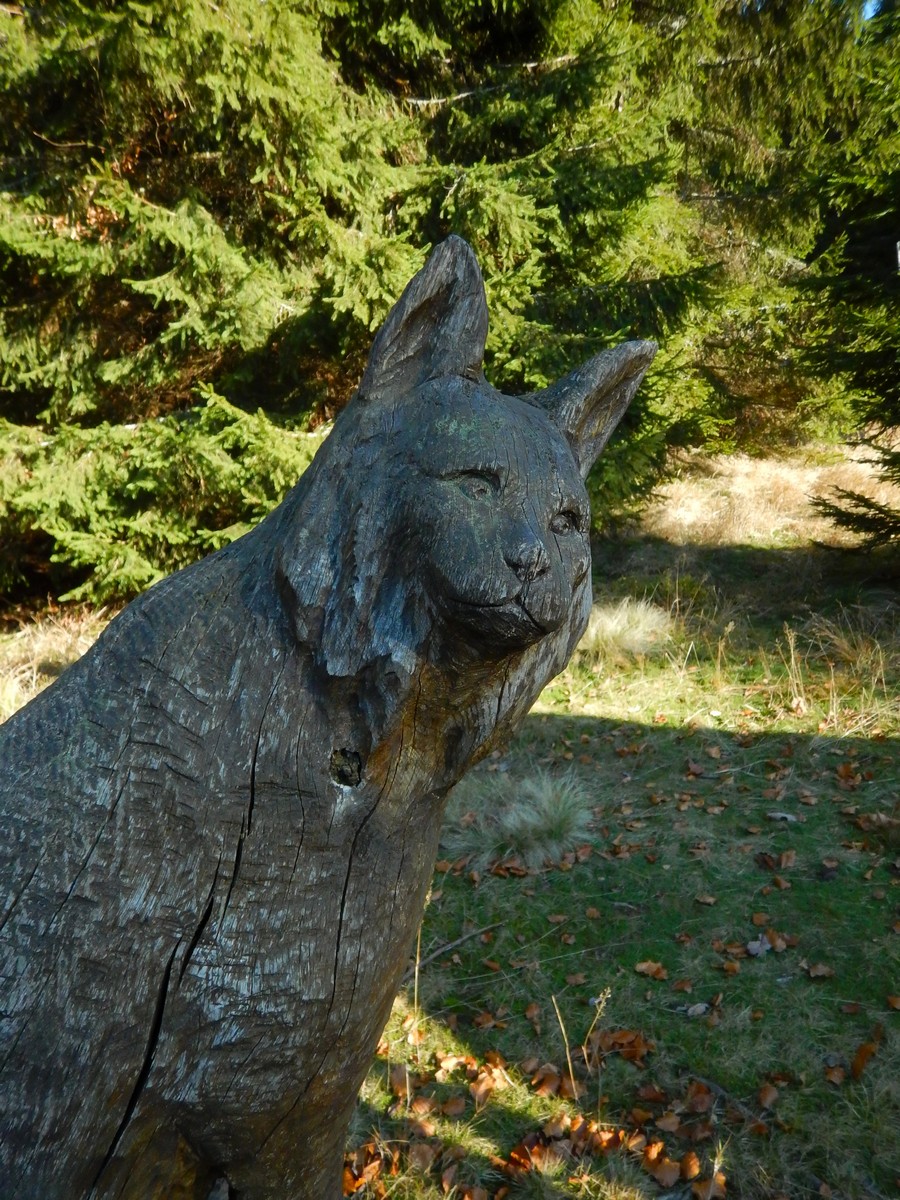 20241108 Studenov-Dvoracky (49)