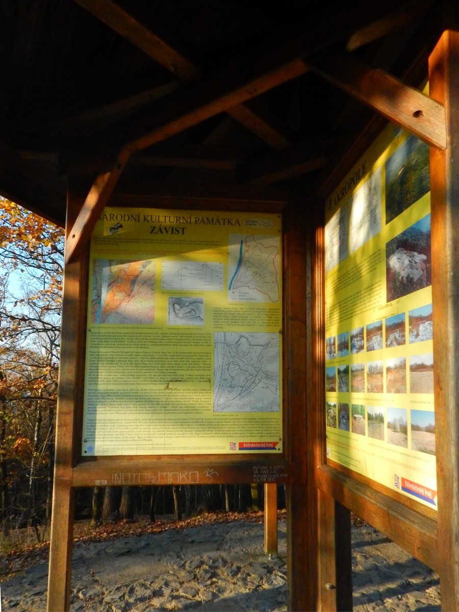 20241116 Mykovycházka NM (186)