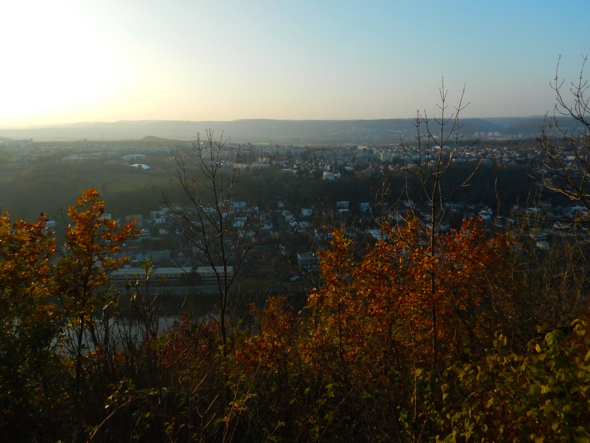 20241116 Mykovycházka NM (208)