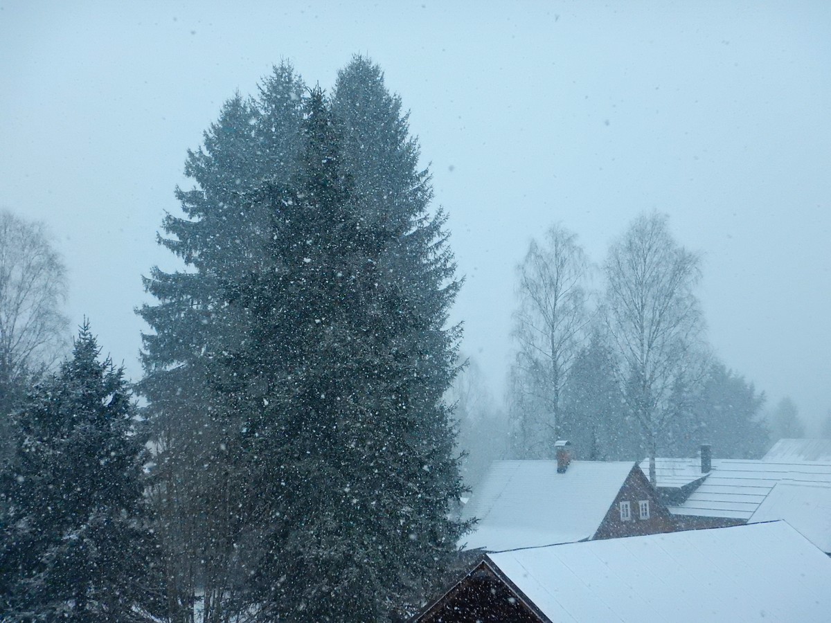 20241124 Ledove kralovstvi (11)
