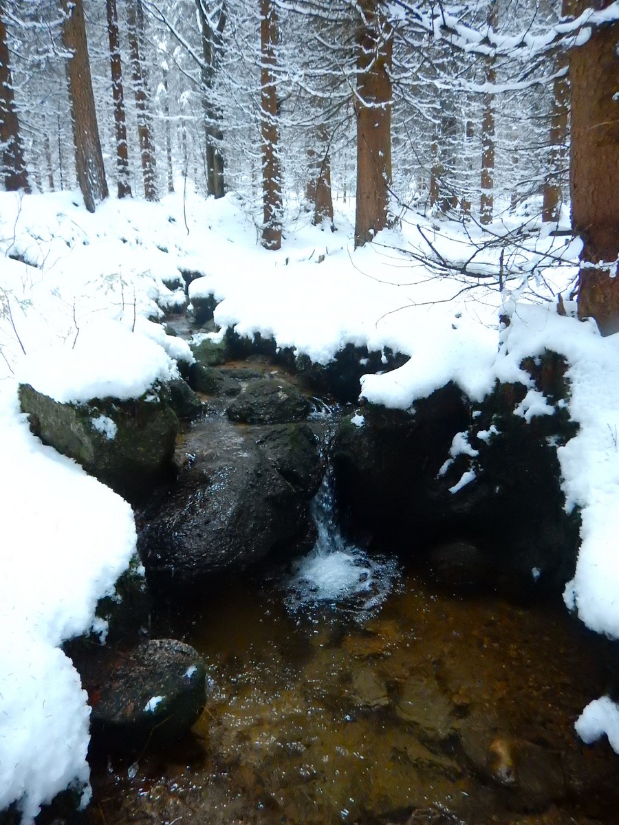 20241124 Ledove kralovstvi (14)