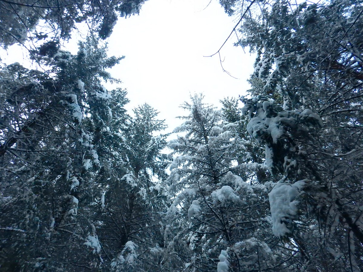 20241124 Ledove kralovstvi (17)