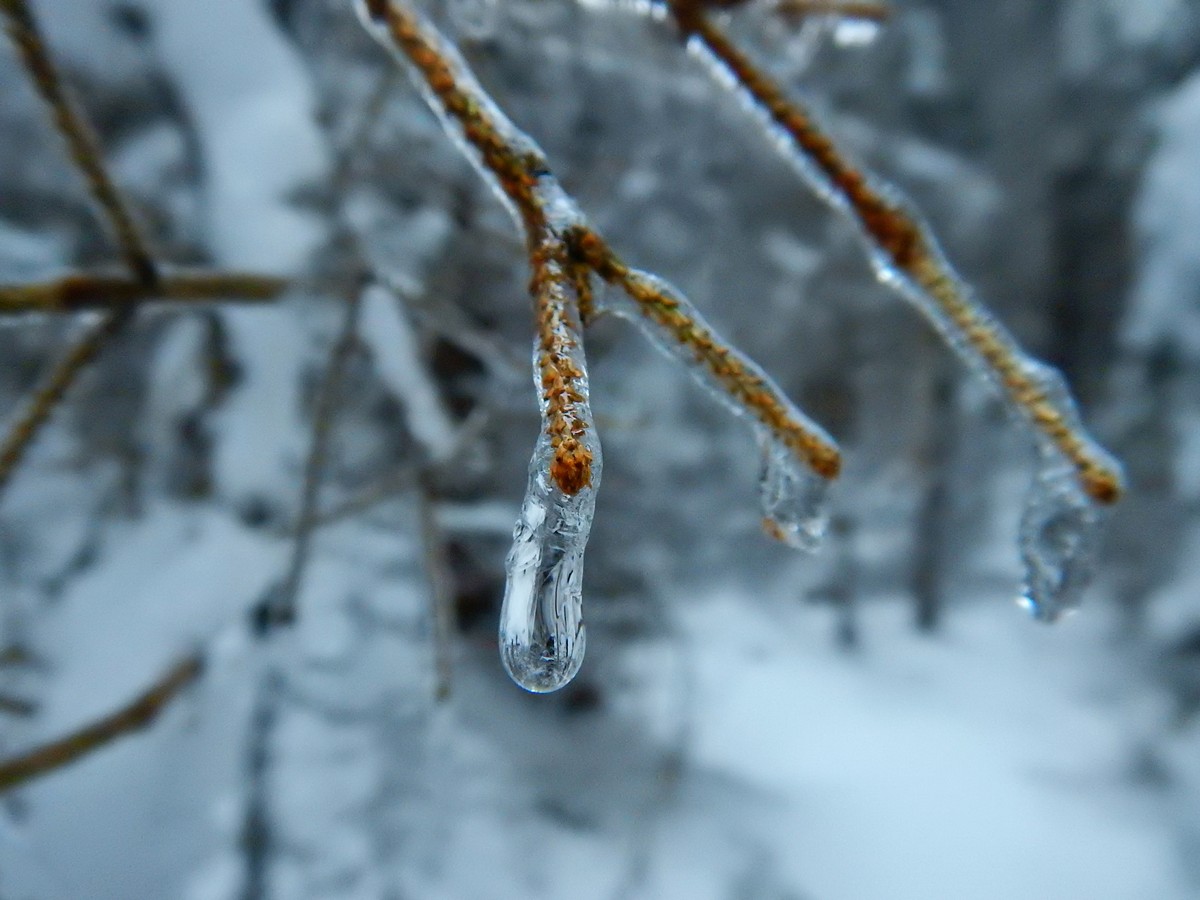 20241124 Ledove kralovstvi (20)