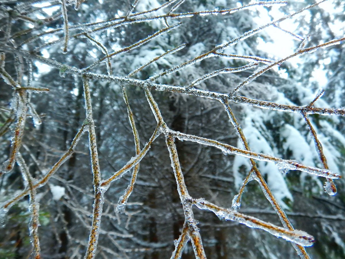 20241124 Ledove kralovstvi (24)