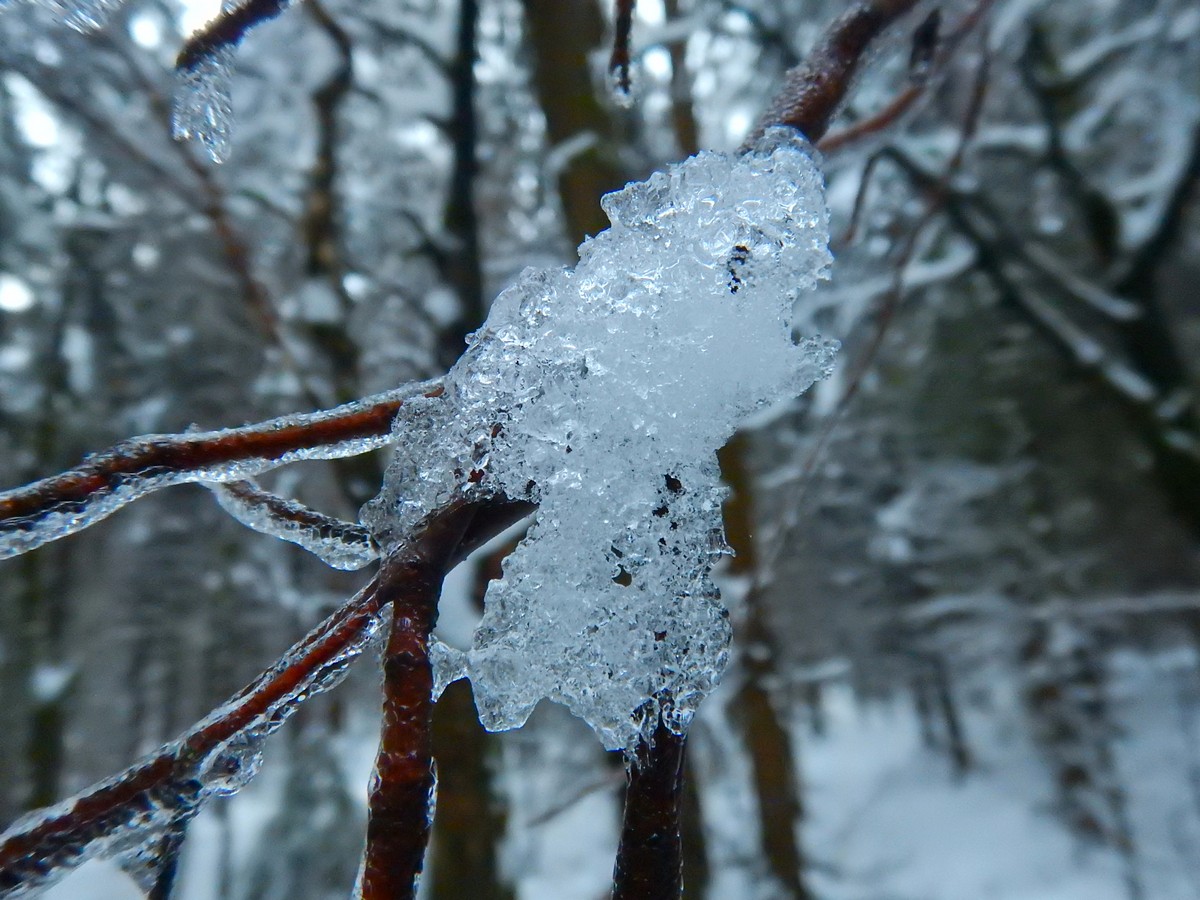 20241124 Ledove kralovstvi (28)
