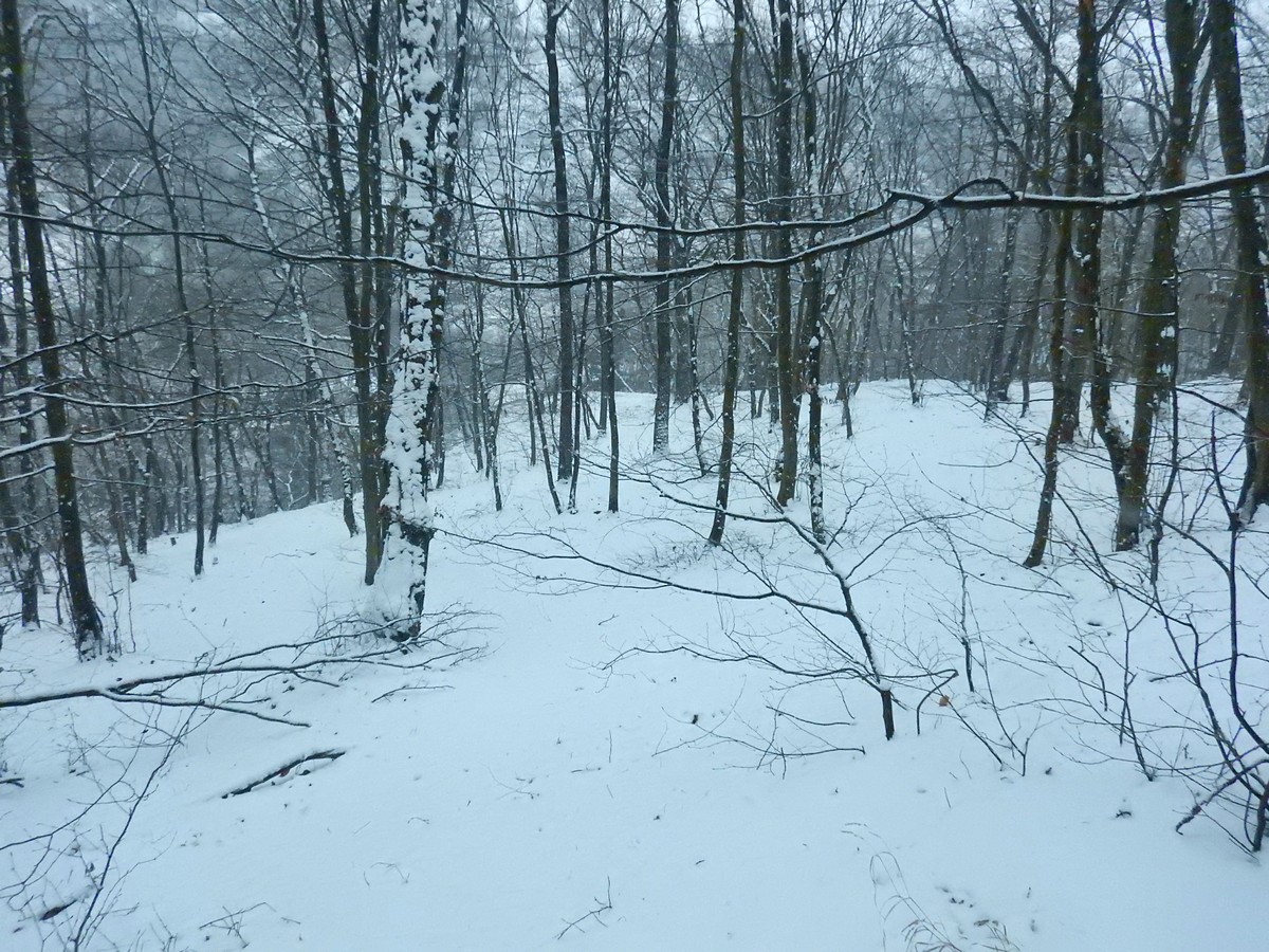 20250105 Myko Prokopak (13)