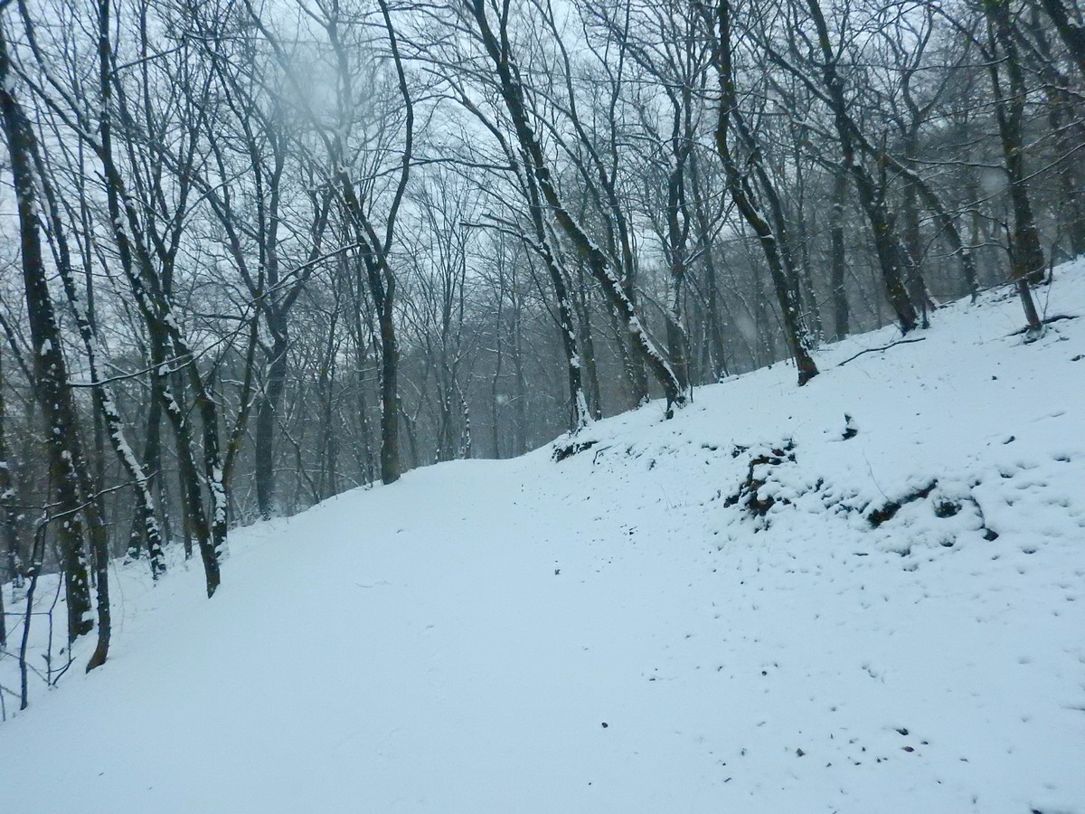 20250105 Myko Prokopak (14)