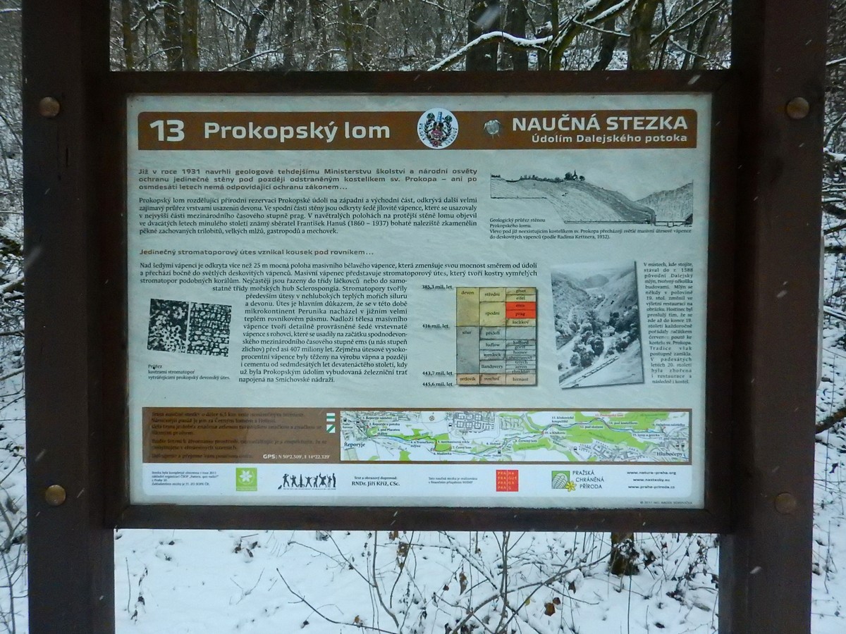 20250105 Myko Prokopak (51)