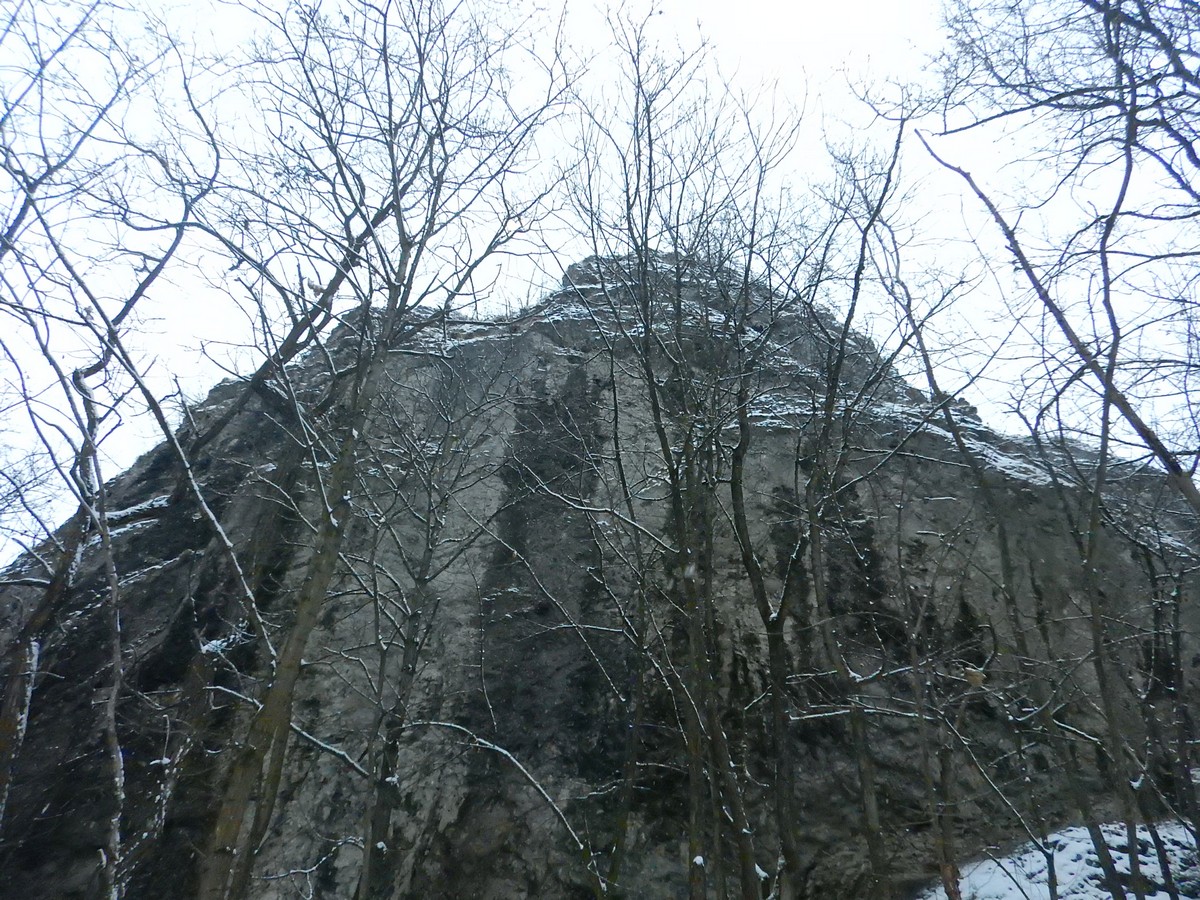 20250105 Myko Prokopak (53)