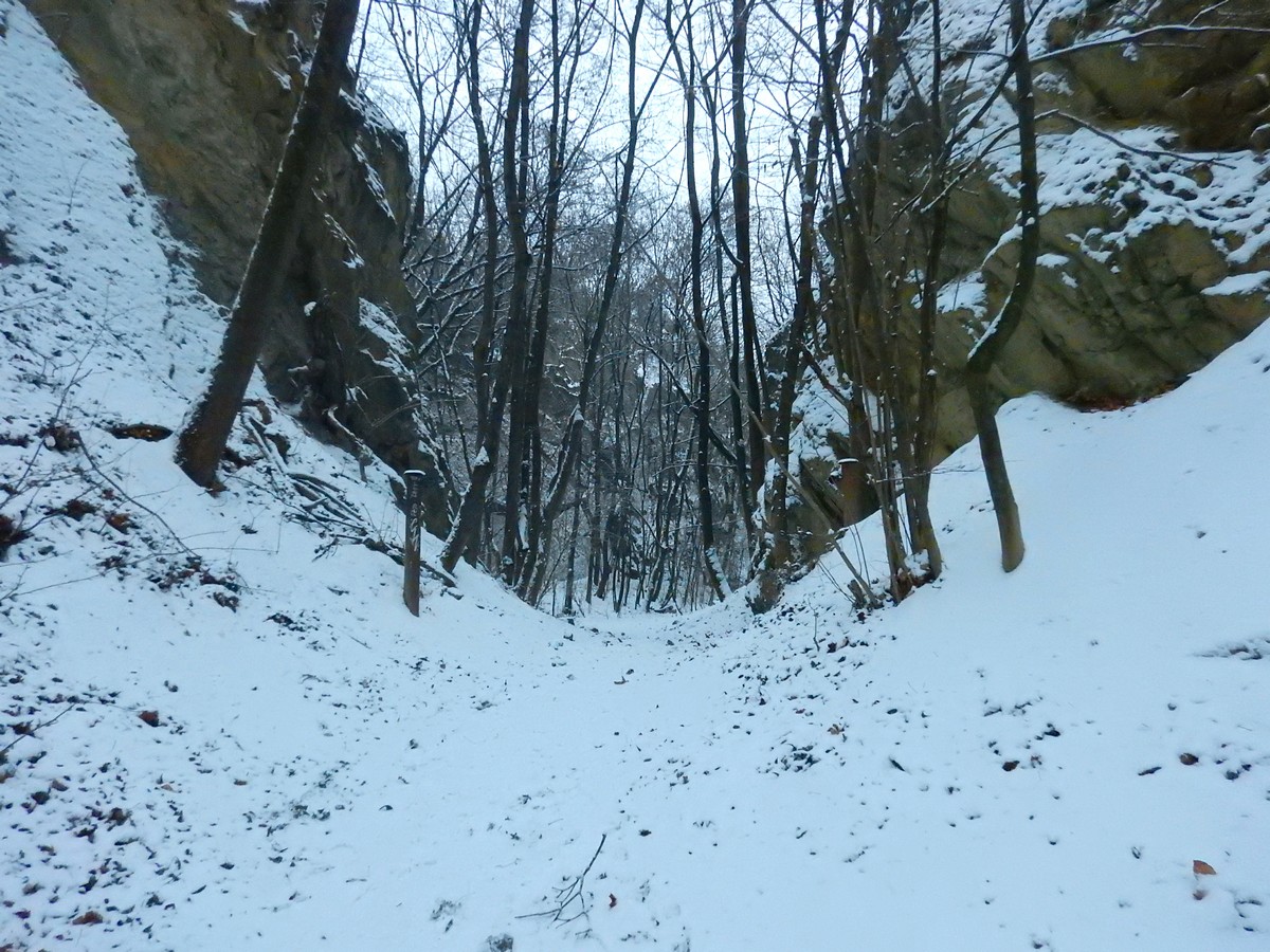 20250105 Myko Prokopak (67)