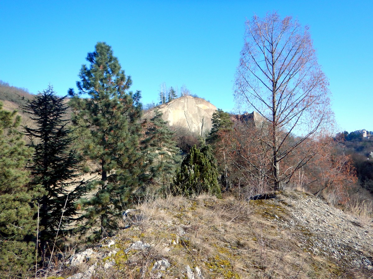 20250201 Myko Prokopak (16)