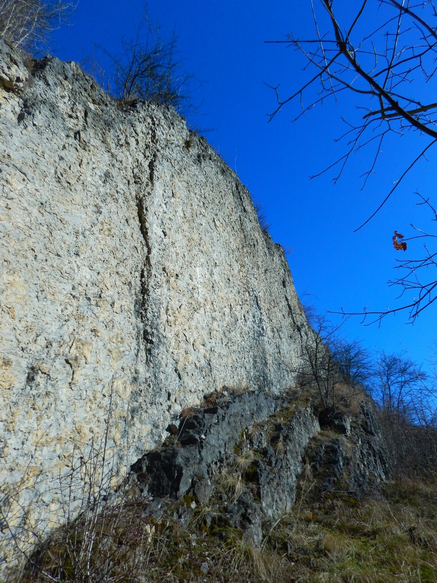 20250201 Myko Prokopak (18)