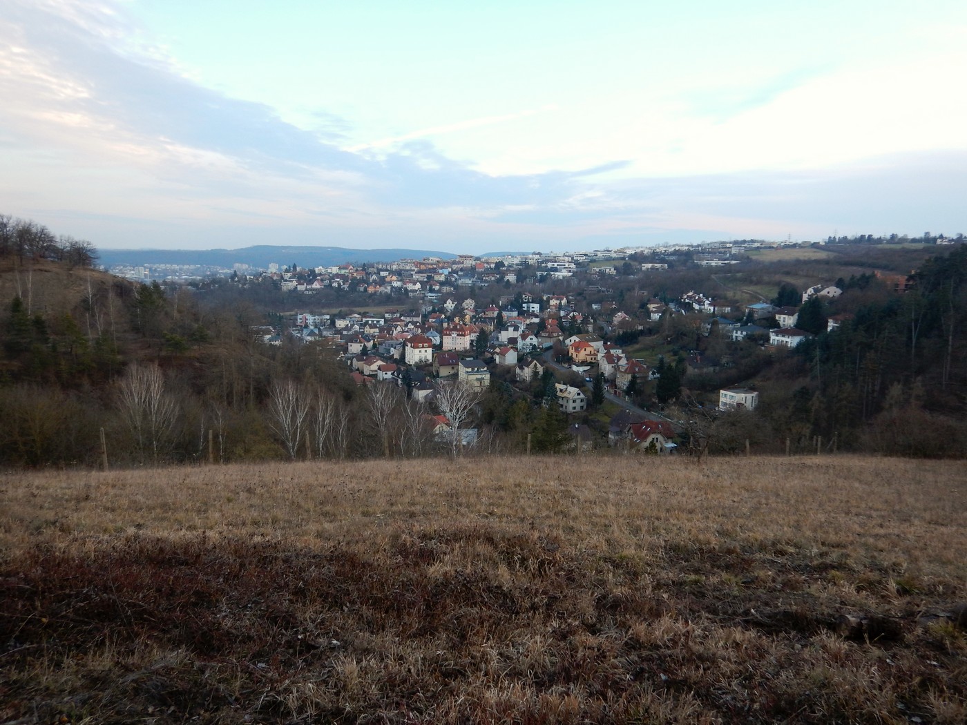 20250211 Myko Chuchle (26)