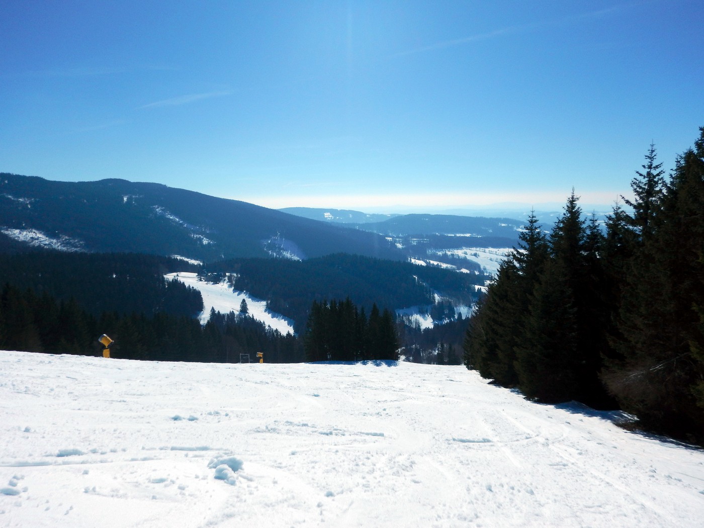20250306 Dvoracky (19)