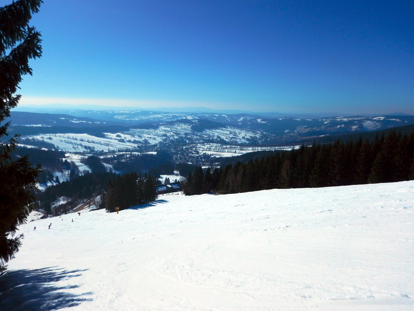 20250306 Dvoracky (20)