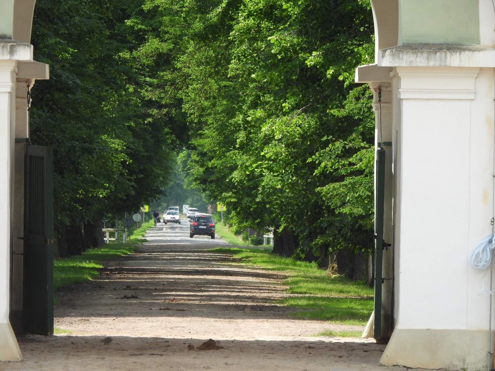 20240526-nh-kladruby--120-