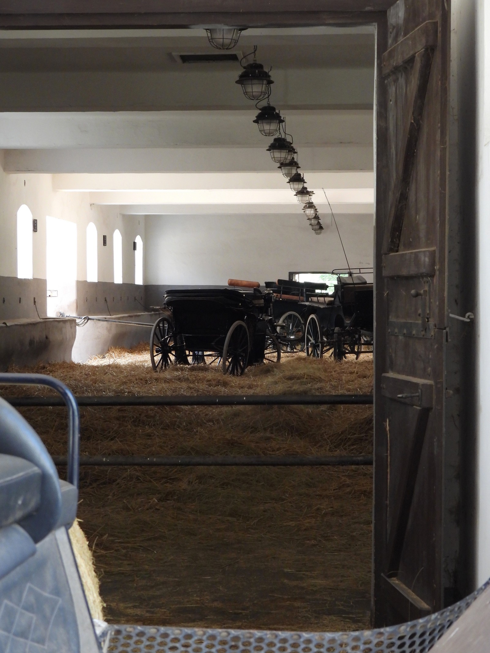 20240526-nh-kladruby--143-