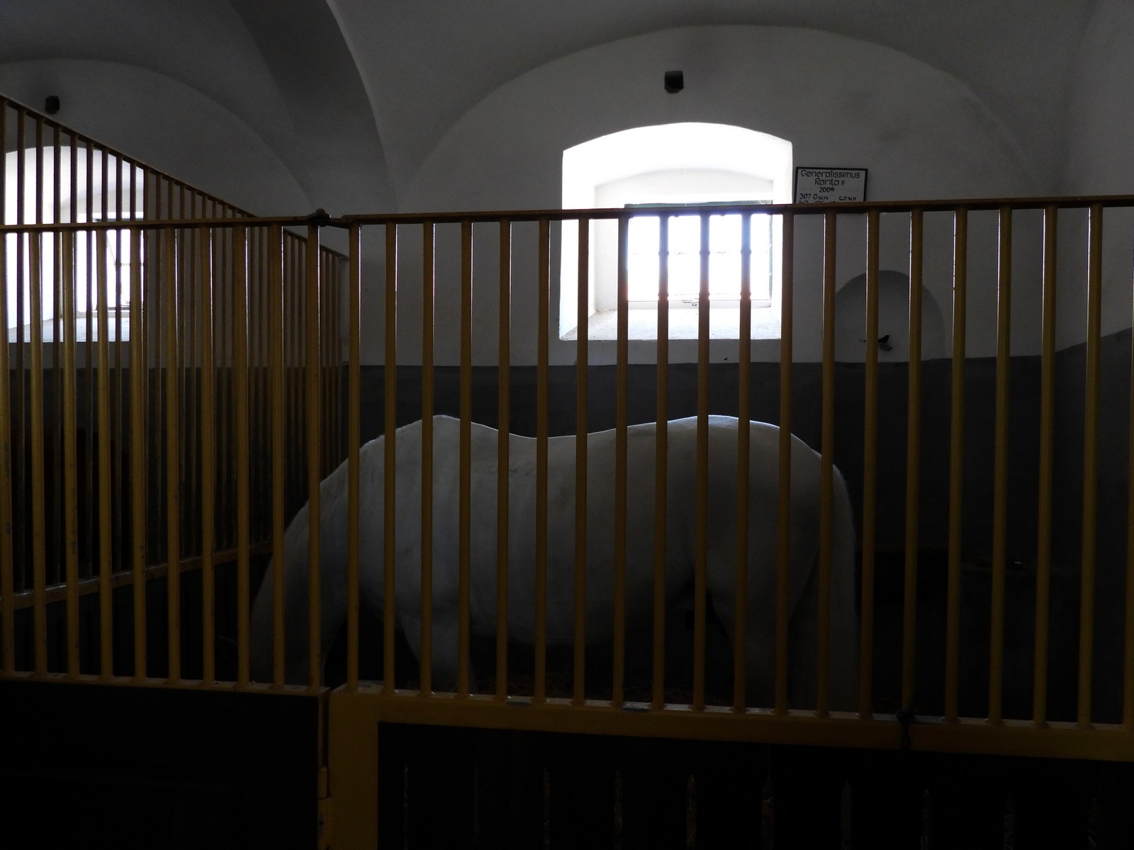 20240526-nh-kladruby--151-