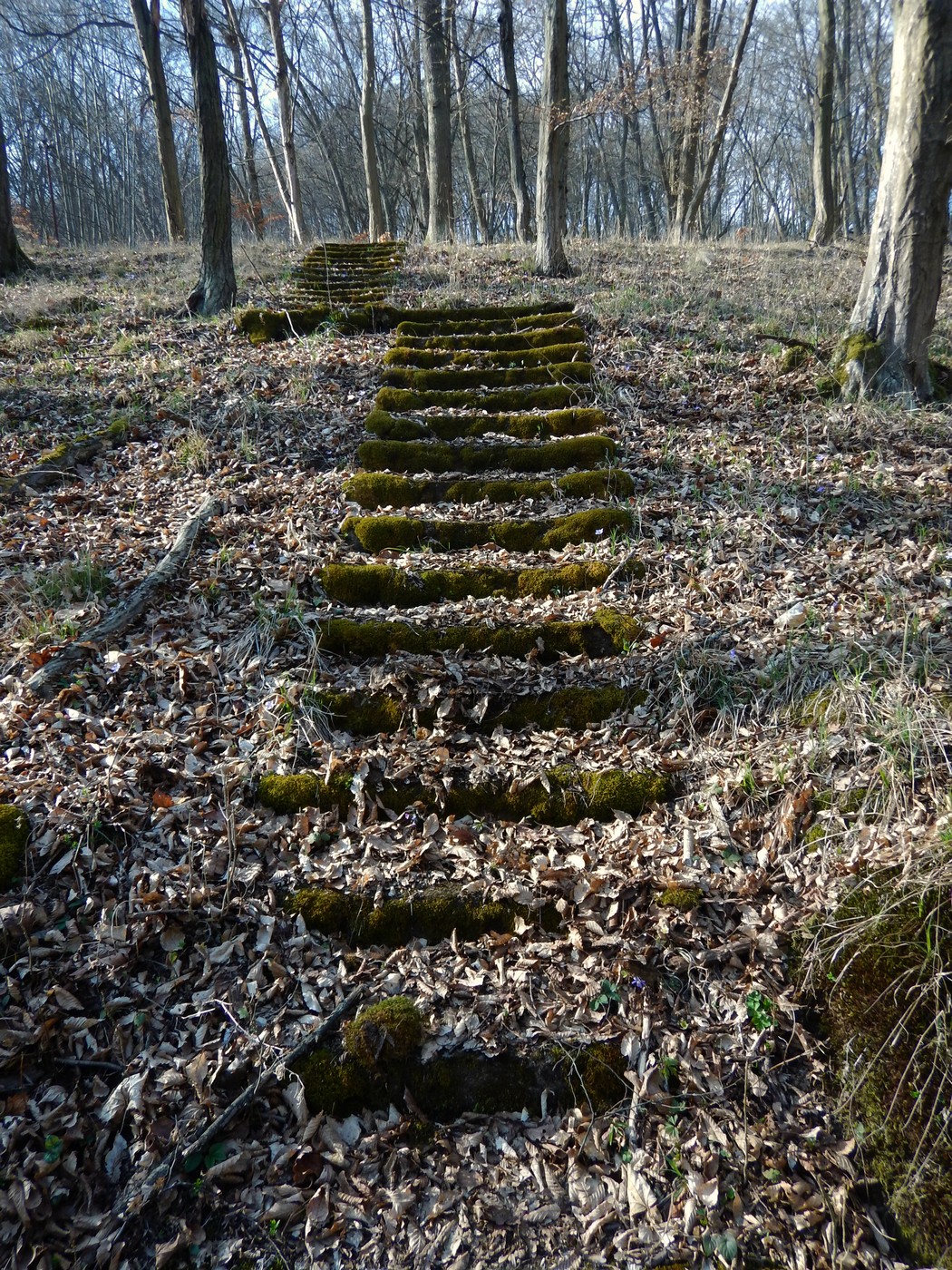 20250328 Beroun (36)