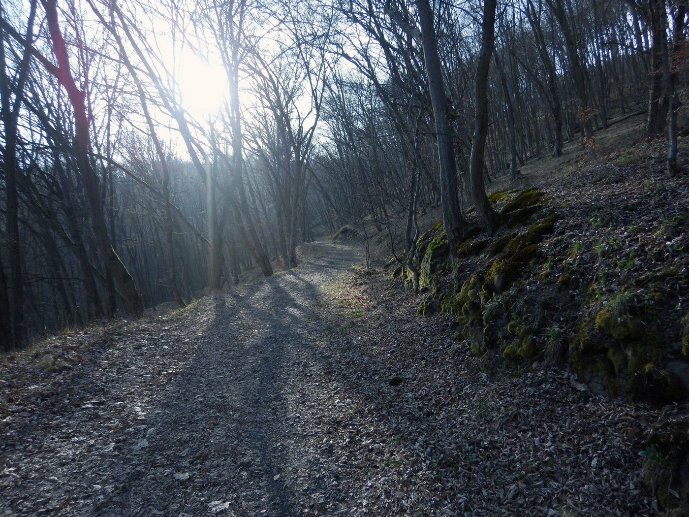 20250328 Beroun (47)