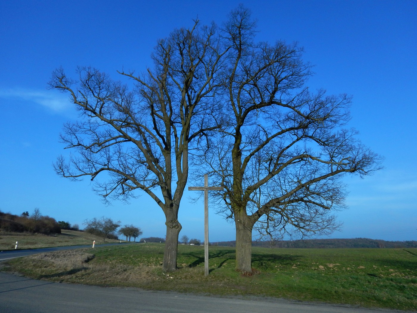 20250328 Beroun (49)