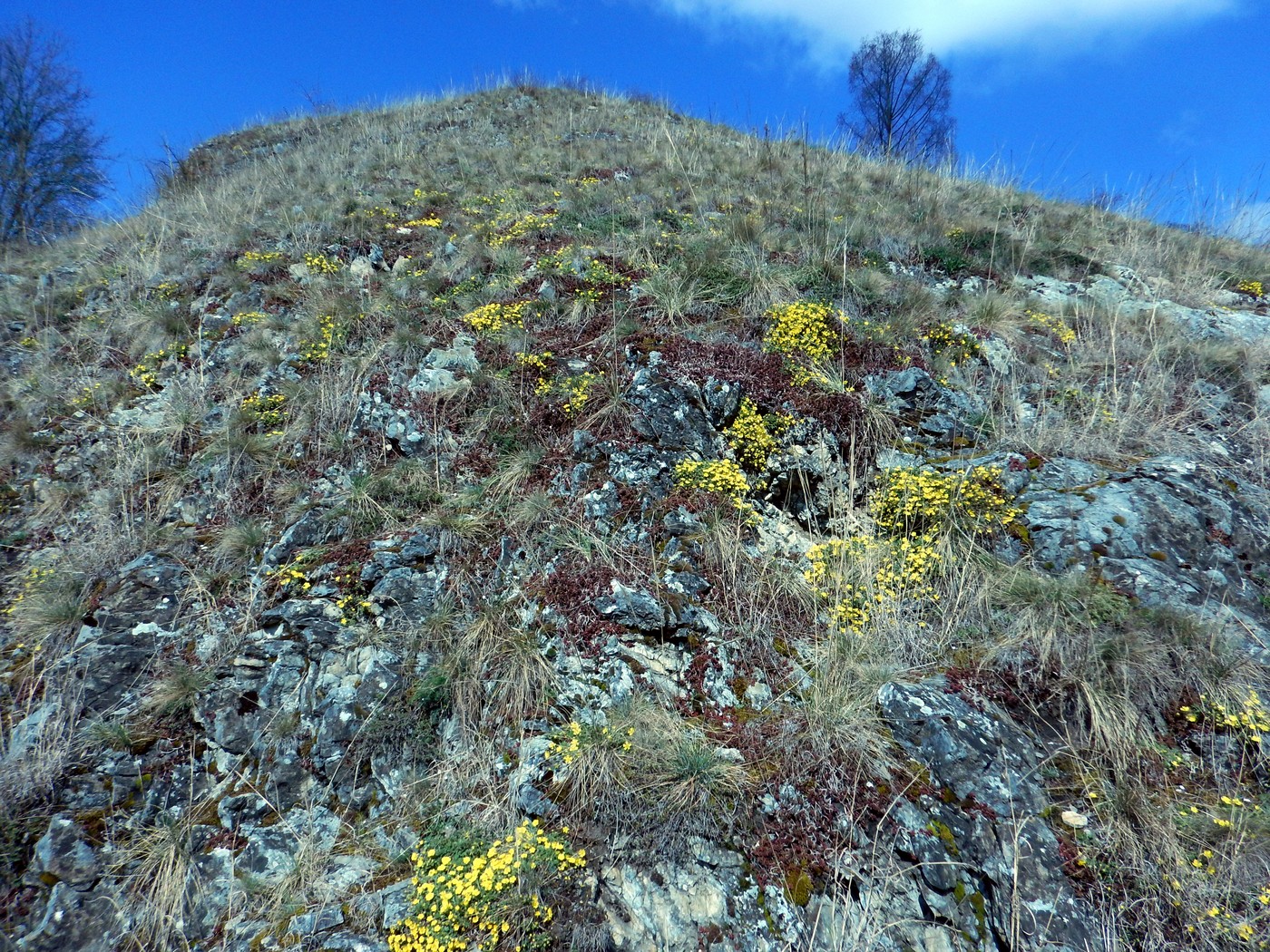20250401 Prokopak (11)
