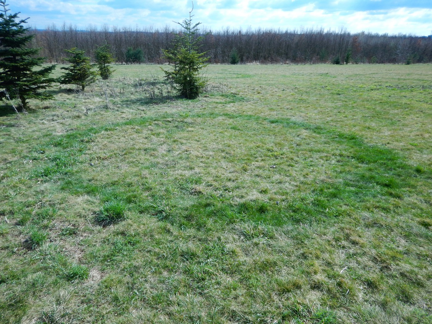 20250401 Prokopak (17)