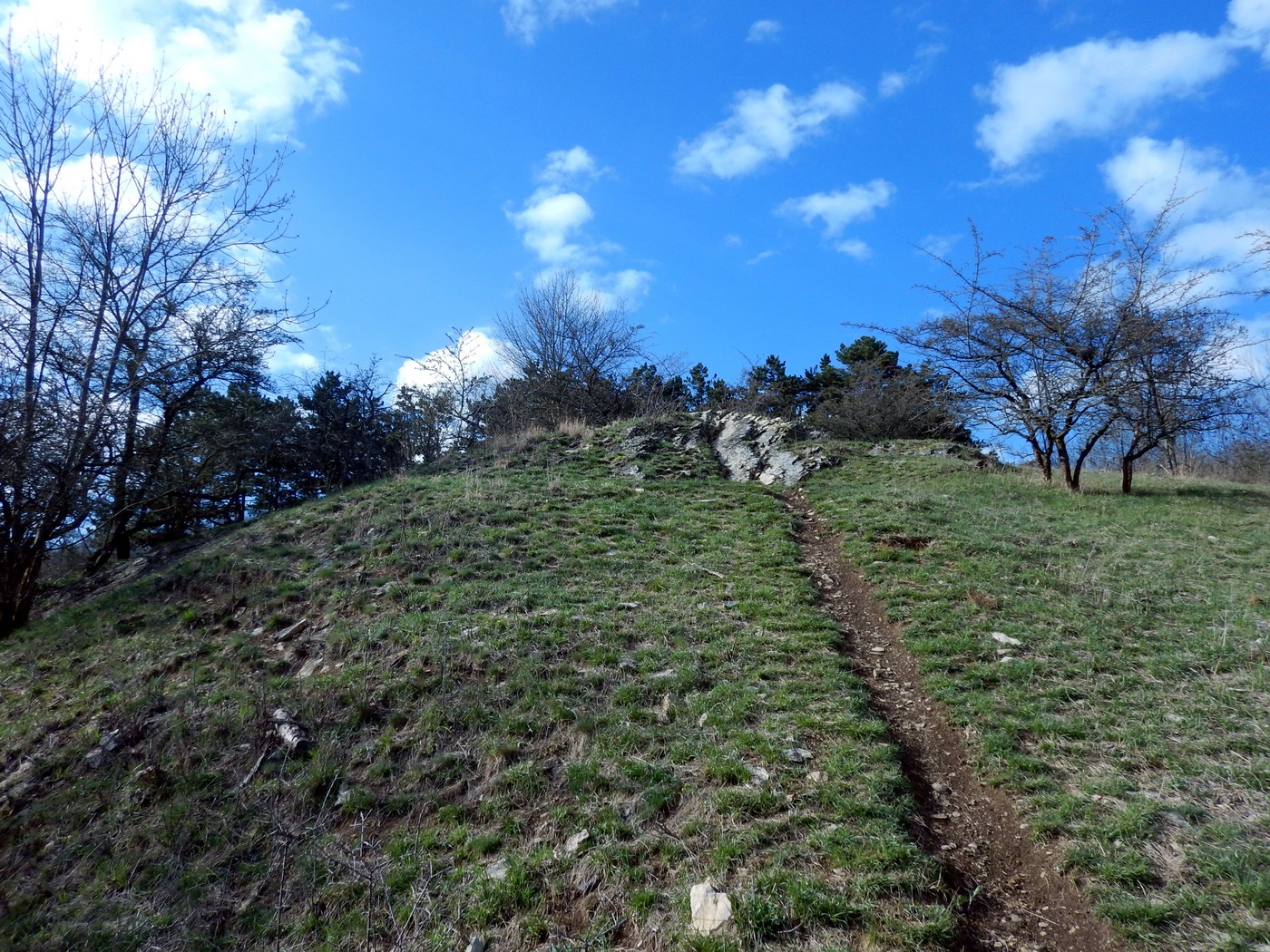 20250401 Prokopak (32)