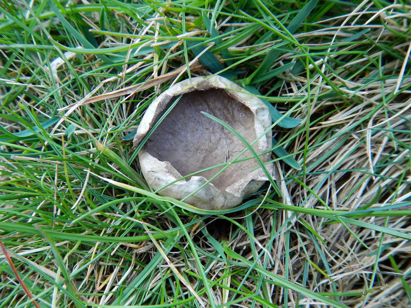 20250401 Myko Prokopak (17)