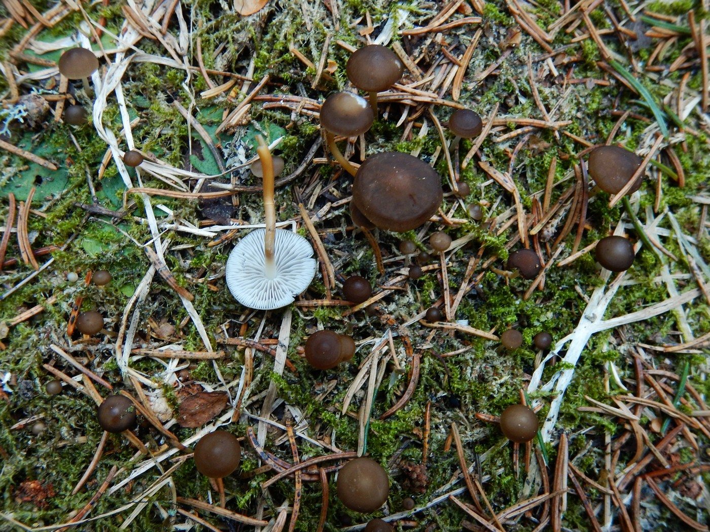 20250404 Penizovka (26)