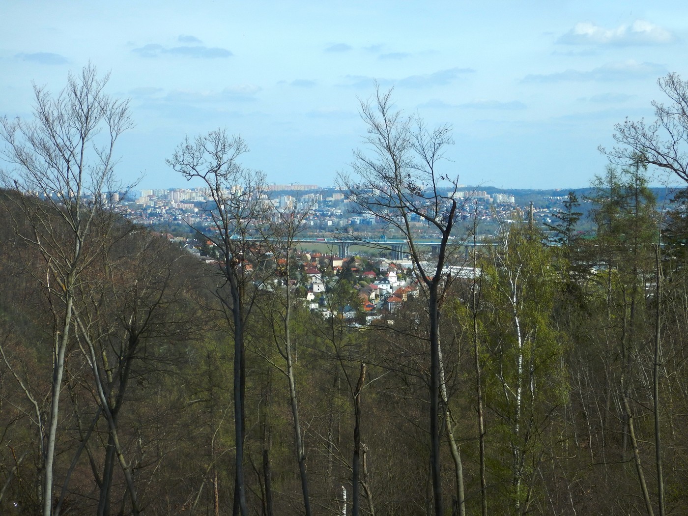 20250412 Myko Radotin (42)
