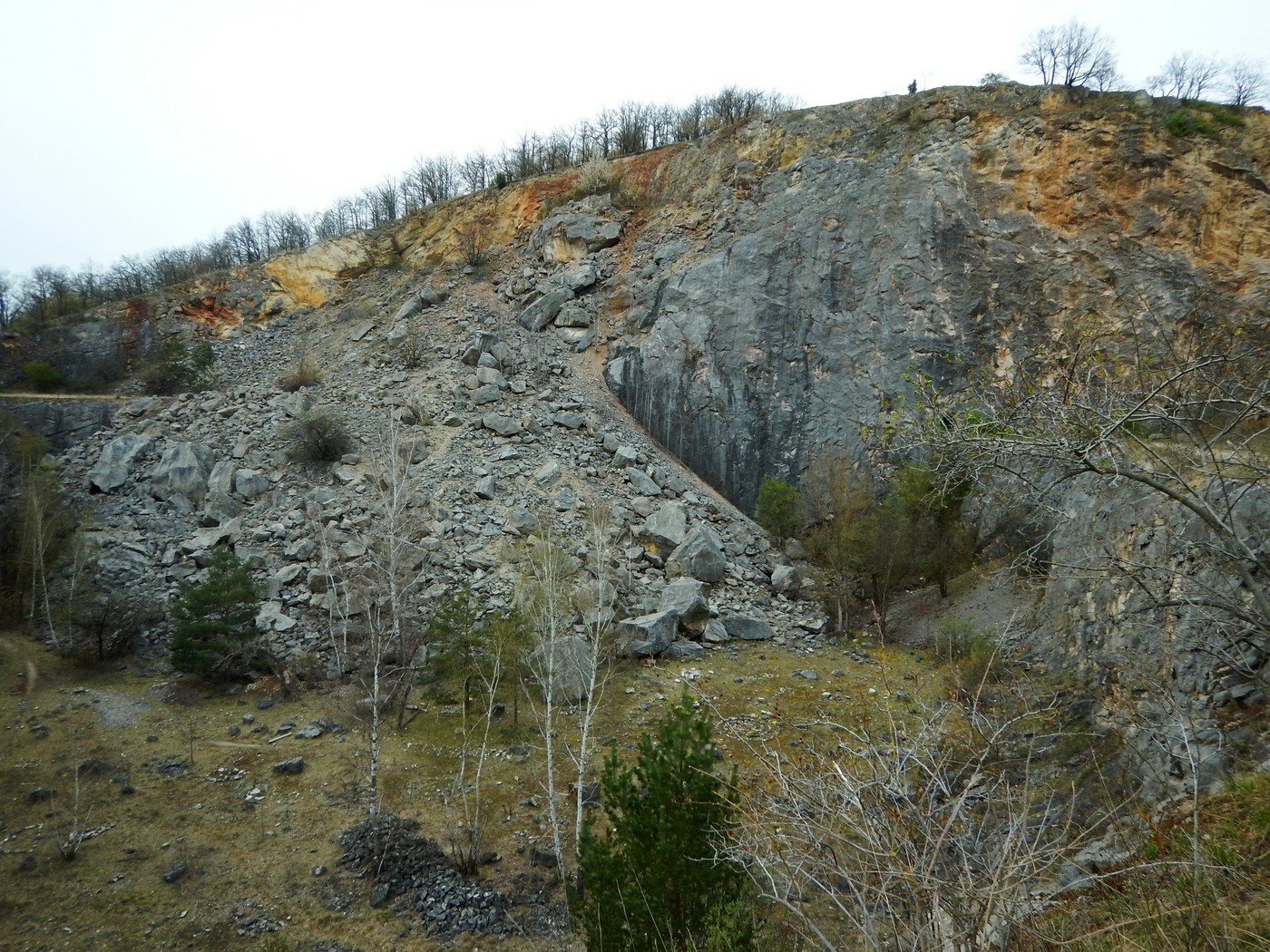 20250413 Myko Koda (68)